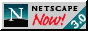 Netscape Now badge